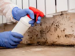 Best Crawl Space Mold Remediation  in Girard, IL